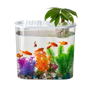 Hydroponic Aquarium Fish Tank
