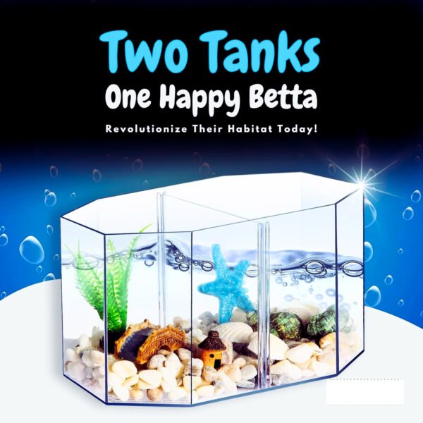 betta fish tank
