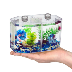 Home Double Betta Fish Tank