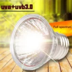 Reptile Heat Lamp