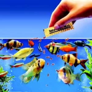 TetraBits Complete Fish Food