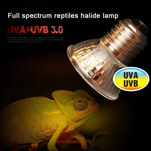 uvb bulb