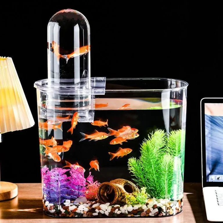 Aquarium fish tank