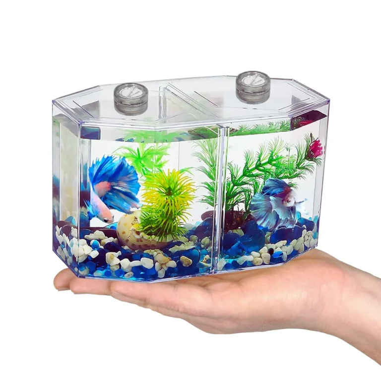 bluepet double betta fish tank aquarium