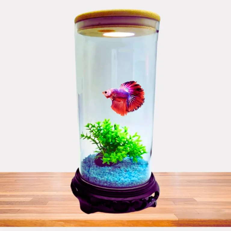 bluepet tp 10 4k cylindrical tank